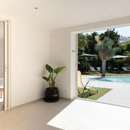 Pinsons Tropez * Saint-Tropez